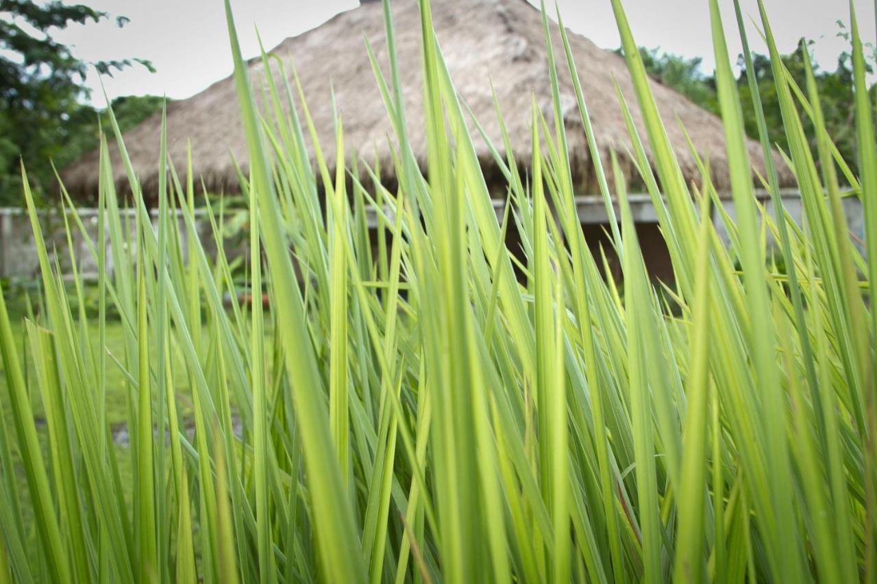 Calvary Home Mae Rim Εξωτερικό φωτογραφία